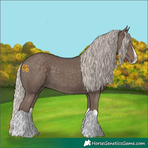 Horse Color:Silver Black Splash 