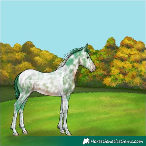 Horse Color:Watercolor Brown Ice Tobiano 