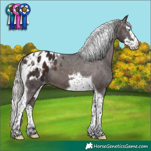 Horse Color:Silver Brown Splash Tobiano Blanket 