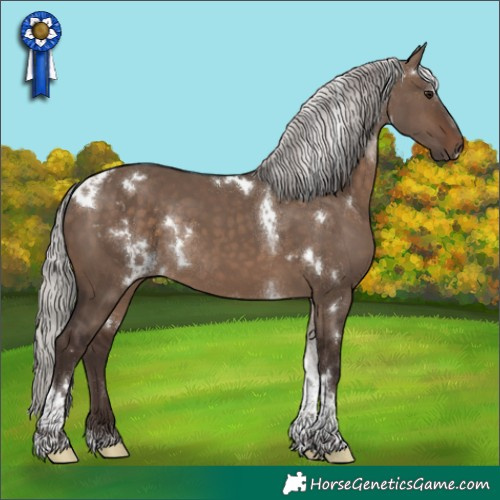 Horse Color:White Spotted Silver Brown Dun Tobiano Rabicano 