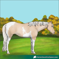 Horse Color:Silver Smoky Black Pearl Tobiano 