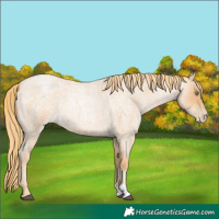 Horse Color:Red Roan Pearl