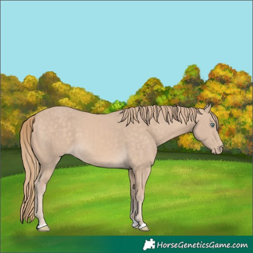 Horse Color:Perlino 