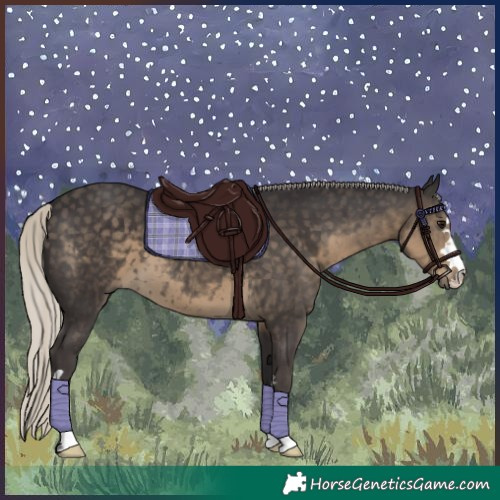 Horse Color:Silver Smoky Black 