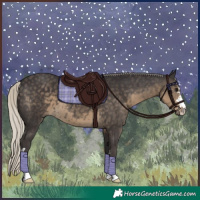 Horse Color:Silver Smoky Black 