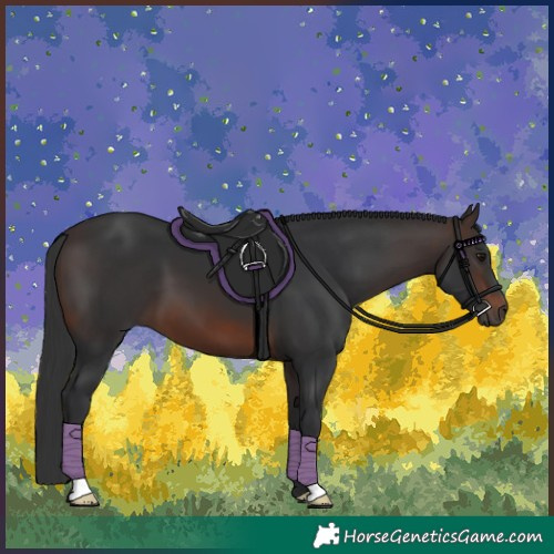 Horse Color:Brown 