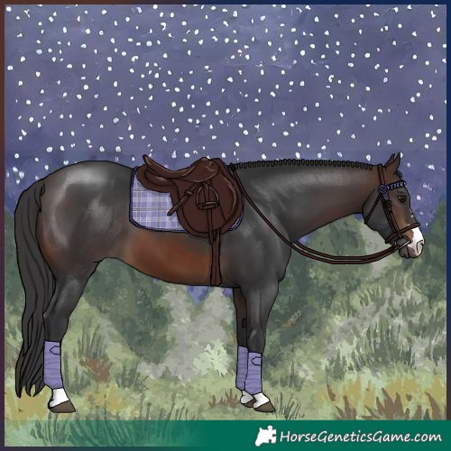 Horse Color:Brown 