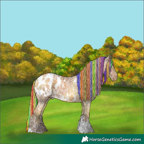 Horse Color:Painted Silver Black Ice Pearl Tobiano Appaloosa Rabicano 