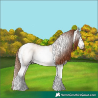 Horse Color:Gray Sable Cream Champagne Ice Pearl Tobiano 