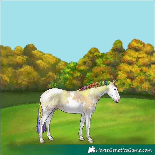 Horse Color:Painted Chestnut Ice Splash Tobiano 