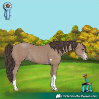 Horse Color:Classic Champagne