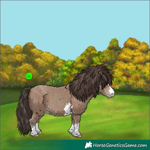 Horse Color:Classic Champagne 