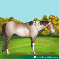 Horse Color:Gray Amber Champagne Tobiano 