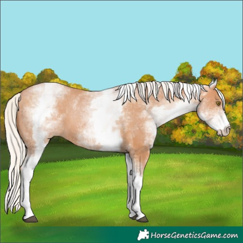 Horse Color:White Spotted Silver Bay Pearl 