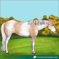 Horse Color:White Spotted Silver Bay Pearl 