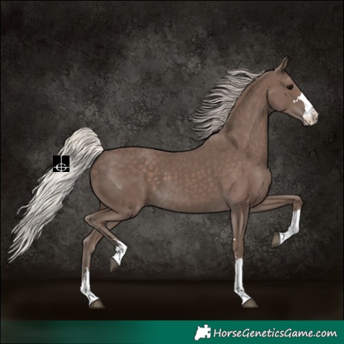 Horse Color:Silver Black 