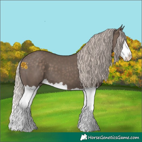 Horse Color:Silver Black Splash 
