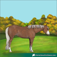 Horse Color:Silver Black