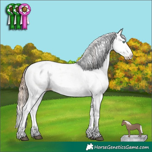 Horse Color:Bay Pearl Dun Mushroom Sabino Splash 