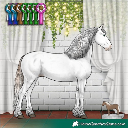 Horse Color:Bay Pearl Dun Mushroom Sabino Splash 