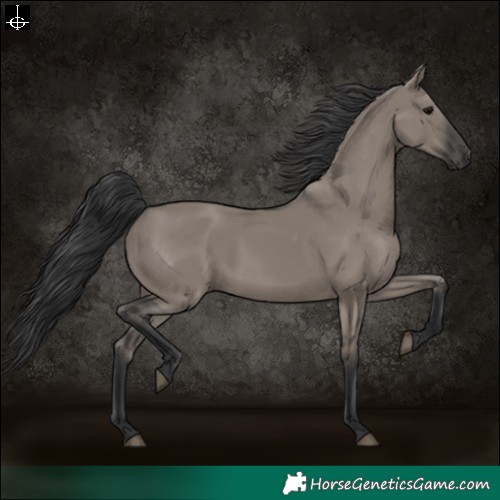Horse Color:Grullo 