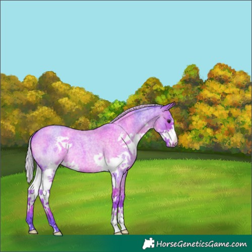 Horse Color:Watercolor Silver Bay Roan Splash 