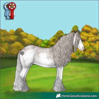 Horse Color:Silver Blue Roan Splash