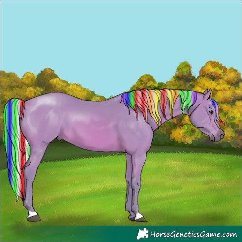Horse Color:Painted Watercolor Silver Bay 