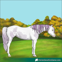 Horse Color:Watercolor White Spotted Gold Champagne Dun Splash Tobiano 