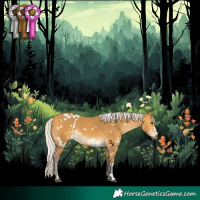 Horse Color:White Spotted Silver Buckskin