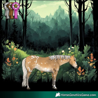 Horse Color:White Spotted Silver Buckskin 