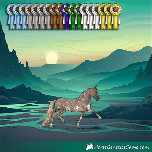 Horse Color:White Spotted Chocolate Palomino Roan 