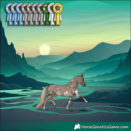 Horse Color:White Spotted Chocolate Palomino Roan 