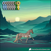 Horse Color:White Spotted Chocolate Palomino Roan