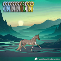 Horse Color:White Spotted Chocolate Palomino Roan 