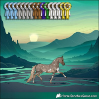 Horse Color:White Spotted Chocolate Palomino Roan 