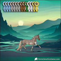 Horse Color:White Spotted Chocolate Palomino Roan 