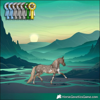 Horse Color:White Spotted Chocolate Palomino Roan 