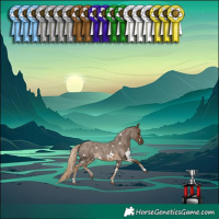 Horse Color:White Spotted Chocolate Palomino Roan