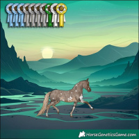 Horse Color:White Spotted Chocolate Palomino Roan 