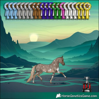 Horse Color:White Spotted Chocolate Palomino Roan 