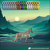 Horse Color:White Spotted Chocolate Palomino Roan
