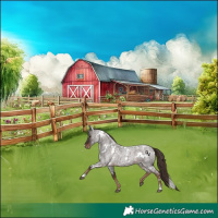 Horse Color:White Spotted Liver Red Roan