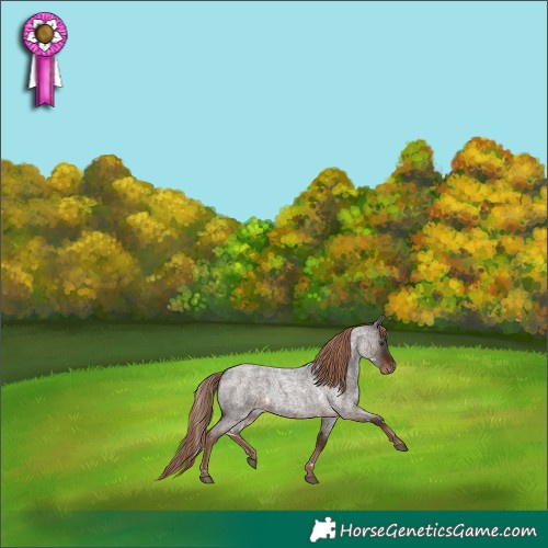 Horse Color:White Spotted Liver Red Roan 