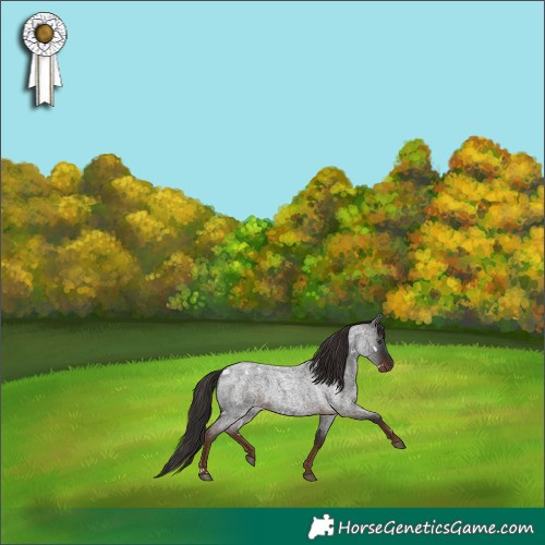 Horse Color:White Spotted Liver Red Roan 