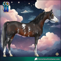 Horse Color:Brown Sabino