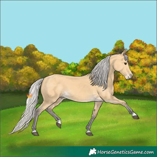 Horse Color:Silver Buckskin 
