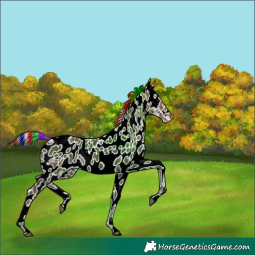 Horse Color:Painted White Spotted Silver Smoky Black Leopard 