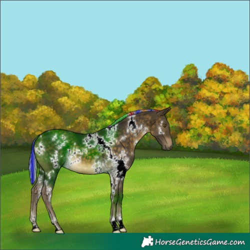 Horse Color:Painted White Spotted Silver Buckskin 
