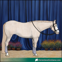 Horse Color:Smoky Creme Roan